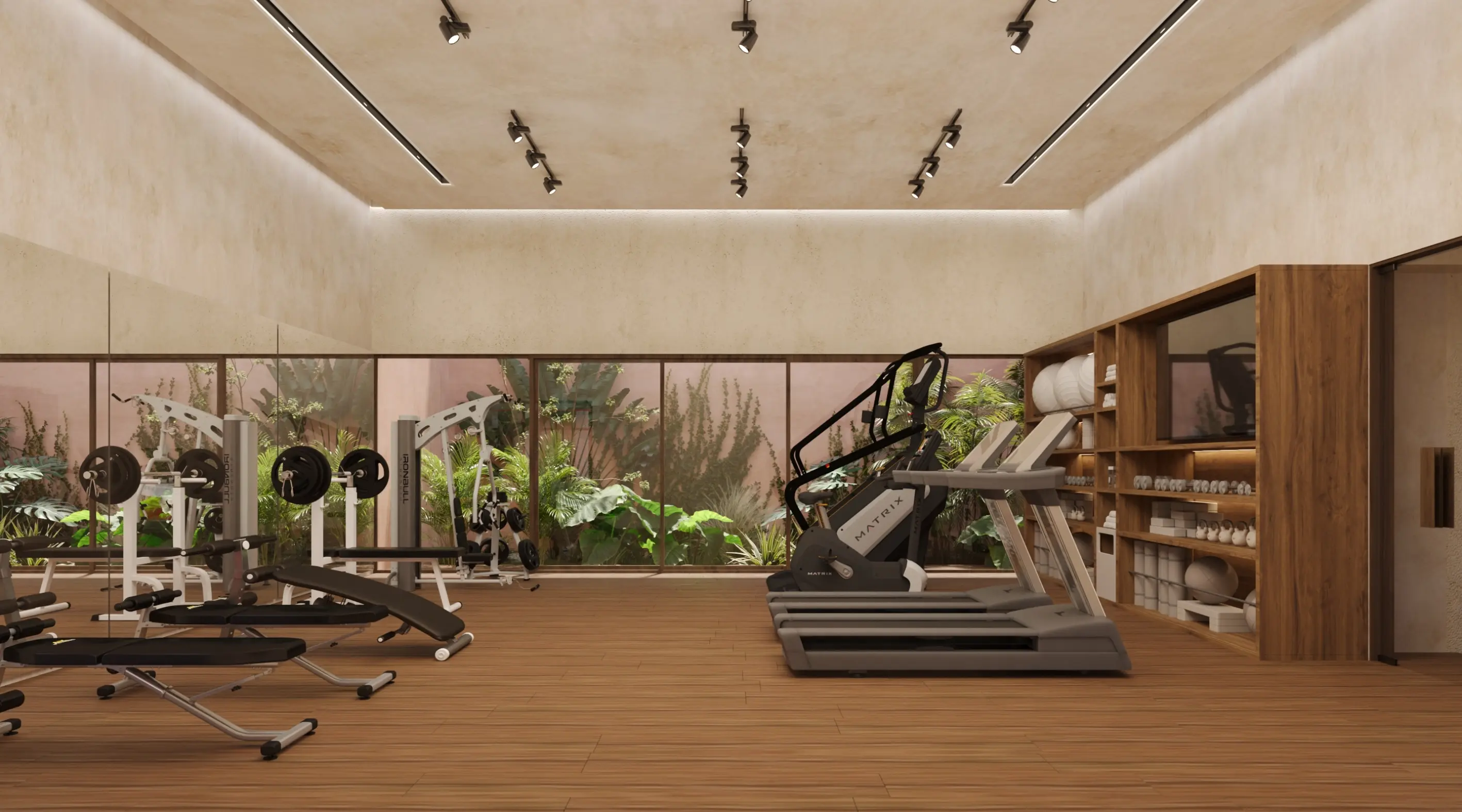 Gimnasio