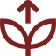 crecimiento-de-la-planta