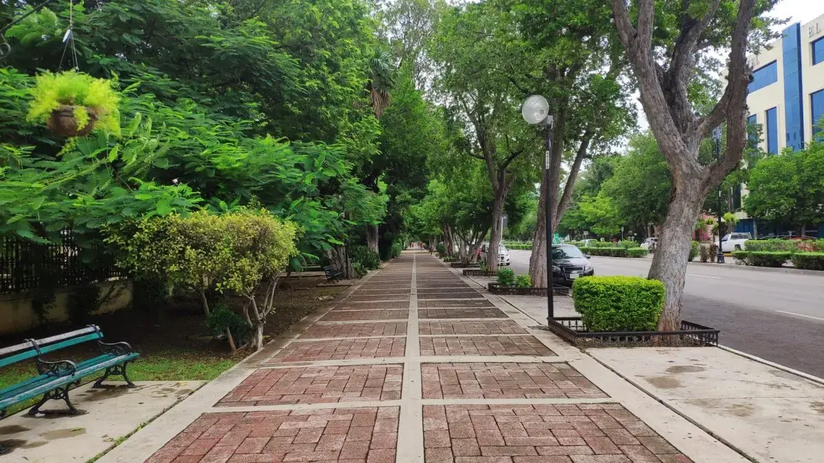 Paseo de Montejo